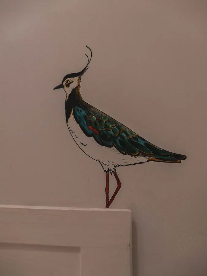 Hostal Cling 43 Deltebre